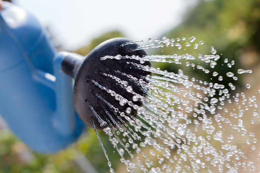 Tips for Water Conservation